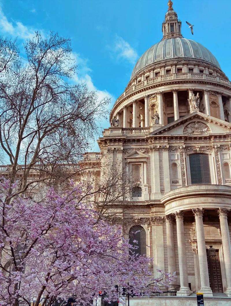 伊利诺伊大学香槟分校